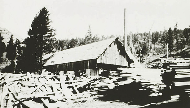 cain sawmill